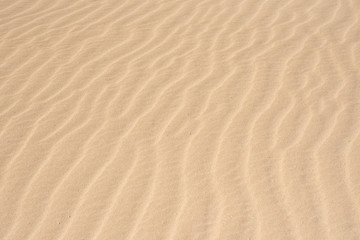 Fototapeta na wymiar Beautiful waves on sand. Beaches and dunes on Fuertaventura.