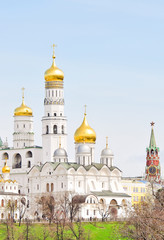 Fototapeta na wymiar The ensemble of the Ivan the Great Bell tower and Archangel Cathedral in the Moscow Kremlin