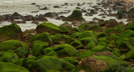 A rocky outcrop coastal defence barrier made of tetrapods and large rocks covered in green moss.