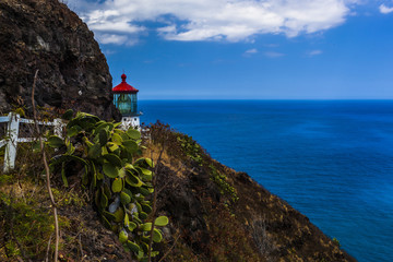 Fototapeta na wymiar Makapu'u Lighthouse