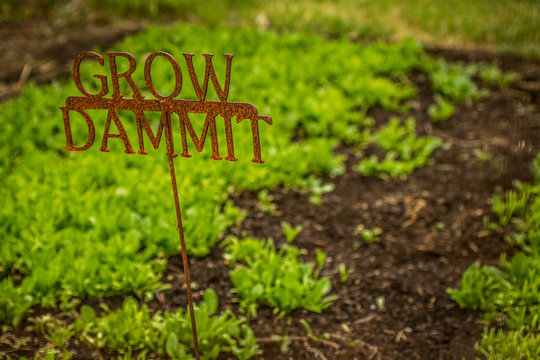 Grow Dammit