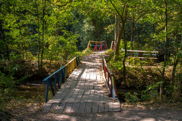 Obraz premium Colorful bridge over a stream in a cozy park. Autumn.