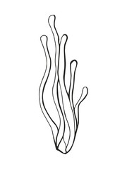 seaweed drawing