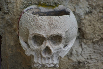 stone skull