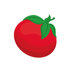 Fresh tomato vegetable icon vector illustration graphic design
