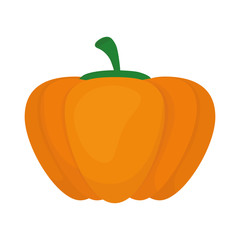Fresh pumpkin vegetable icon vector illustration graphic design