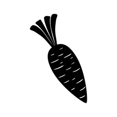 Fresh carrot vegetable icon vector illustration graphic design