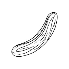 Fresh cucumber vegetable icon vector illustration graphic design