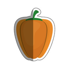 Fresh pepper vegetable icon vector illustration graphic design