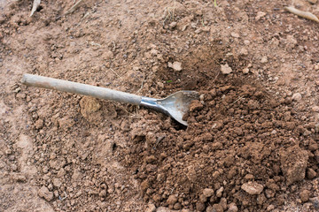 Shovel in the soil