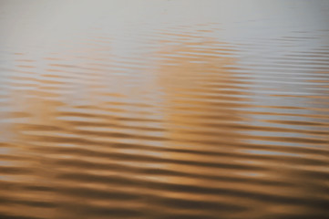 Water Ripple Abstract