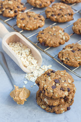 Flourless gluten free peanut butter, oatmeal and chocolate chips cookies on cooling rack, vertical