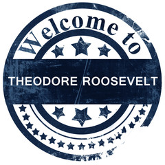 Theodore Roosevelt stamp on white background