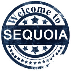 Sequoia stamp on white background