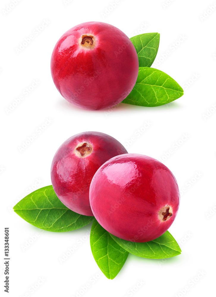 Leinwandbilder isolated cranberries. two images of cranberry fruits with leaves isolated on white background with c
