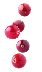 Isolated flying berries. Five falling cranberry fruits isolated on white background with clipping...