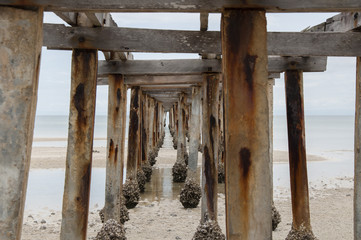 wood pier on the beach