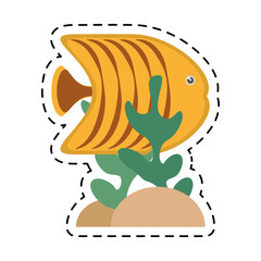 yellow butterfly fish aquarium coral vector illustration eps 10