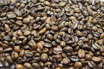 コーヒー　コーヒー豆