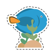 blue fish dish life exotic coral vector illustration eps 10