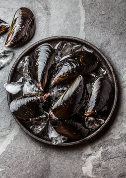 Fresh uncooked big mussels on ice. Slate background. Top view