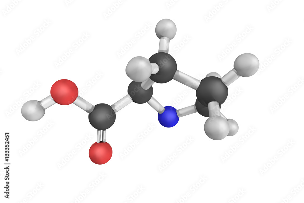 Canvas Prints Proline, an alfa-amino acid that is used in the biosynthesis of