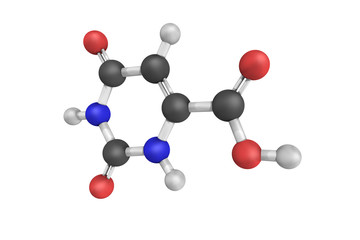 Orotic acid is a heterocyclic compound used as a mineral carrier