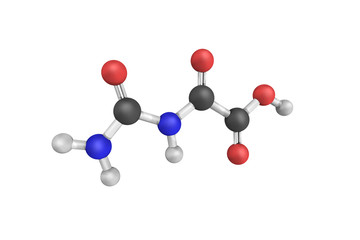 Oxaluric Acid, also known as Oxalureate. 3d model