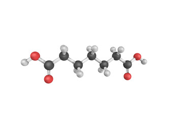 Pimelic acid, derivatives of which are involved in the biosynthe