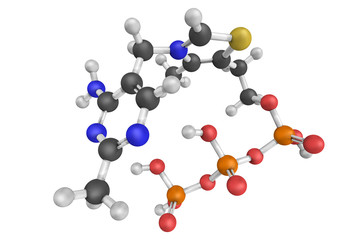 Thiamine triphosphate, a biomolecule found in most organisms inc