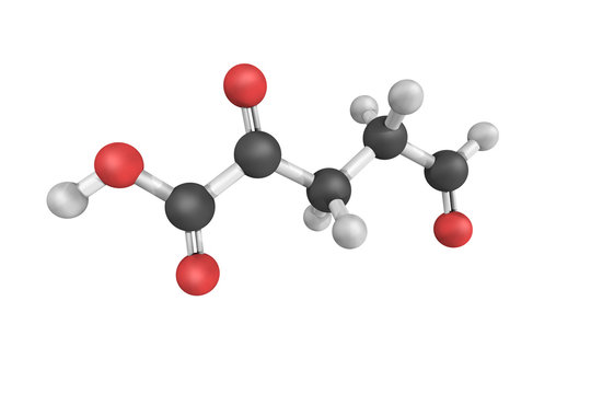 Pentanoic acid, also known as valeric acid with a primary use in
