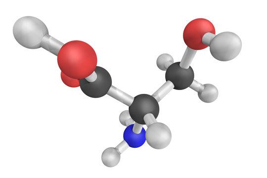 Serine, encoded by the codons UCU, UCC, UCA, UCG, AGU and AGC is