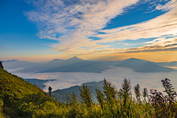 Sunrise landscape of foggy and cloudy mountain valley, Doi Pha Tang chiang rai thailand