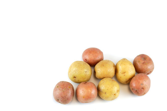 colorful potato isolated on white background