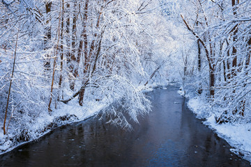 frozen forest with snow and river, winter landscape
