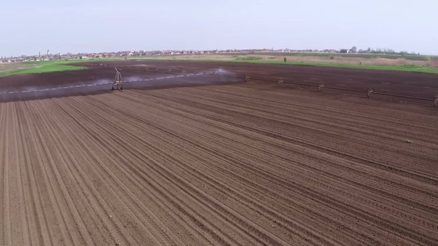Typhon irrigation of young paprika field in spring. Aerial footage.