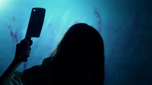 Female psychopath chopping victim multiple times with bloody butcher knife