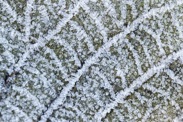 Detail of frost covered leaves, Las Medulas, Castile and Leon, Spain