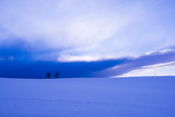冬の夕暮れの丘