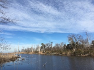 pond on Chesapeake Bay in winter