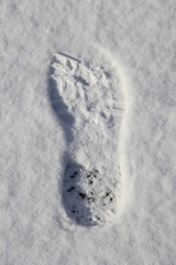 雪の上の靴跡(右足)