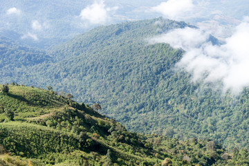 Beautiful mountain landscape