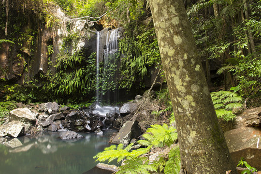 Curtis Falls Waterfall In Mount Tambourine