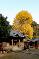 大宮神社