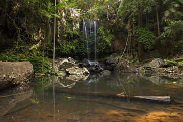 Curtis Falls Waterfall in Mount Tambourine