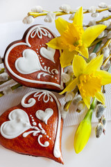 Traditional Czech easter decoration - homemade gingerbread hearts cakes with pussycats and daffodils flowers on white background. Spring easter holiday arrangement.