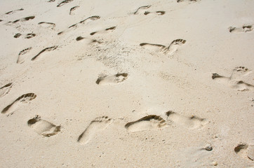 Footprints on the beach