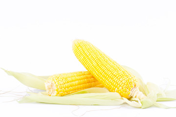 sweet corn on cobs kernels or fresh grains of ripe corn on white background corn vegetable isolated
