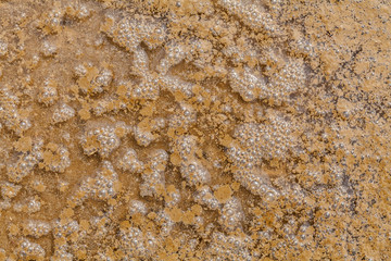 brown ditch water