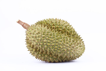 durian  mon thong is king of tropical fruits durian   on white background healthy durian fruit food...